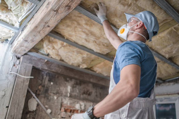 Best Cellulose Insulation in South Hill, WA